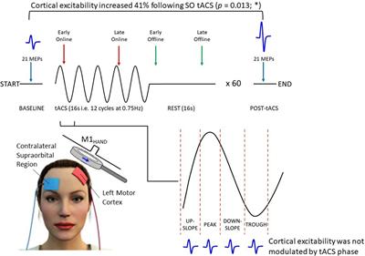 Effects of Slow Oscillatory Transcranial Alternating Current Stimulation on Motor Cortical Excitability Assessed by Transcranial Magnetic Stimulation